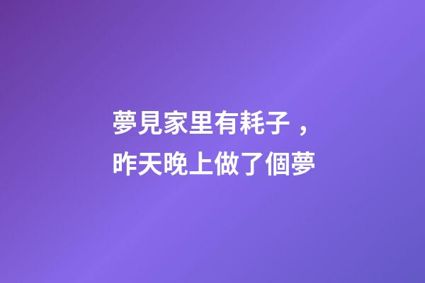 夢見家里有耗子，昨天晚上做了個夢-第1張-觀點-玄機派